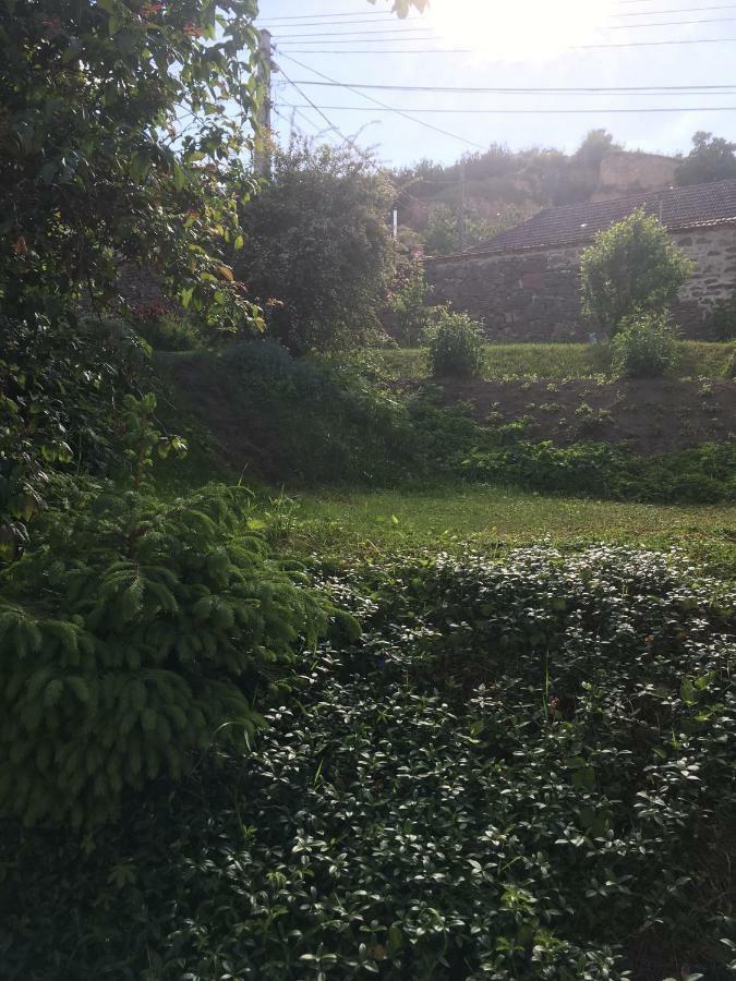 Bogoly Apartman Tokaj Dış mekan fotoğraf