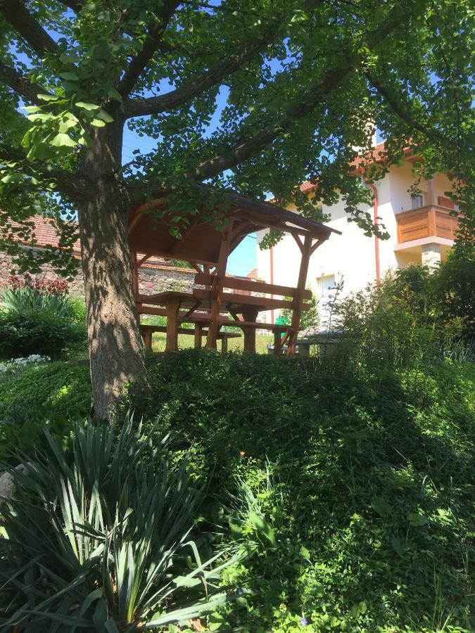 Bogoly Apartman Tokaj Dış mekan fotoğraf