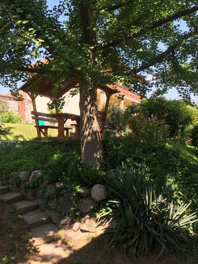 Bogoly Apartman Tokaj Dış mekan fotoğraf